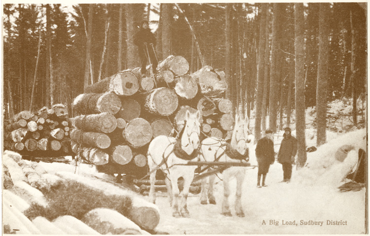Reproduction d’une carte postale d’un voyage de bois dans la r&eacute;gion de Sudbury (Ontario), ca 1905.