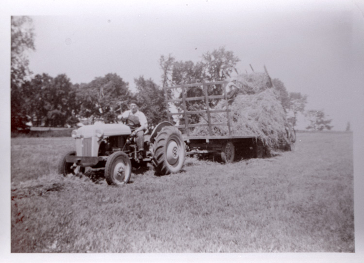 Reproduction d’une photographie de Ernest Gareau au volant de son tracteur tirant une charge de foin, North Lancaster (Ontario), ca 1950.
