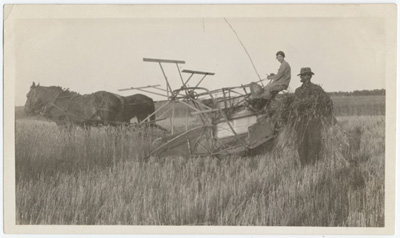 Reproduction d’une photographie d’une fille conduisant une moissonneuse &agrave; Albertville (Saskatchewan), ca 1927.