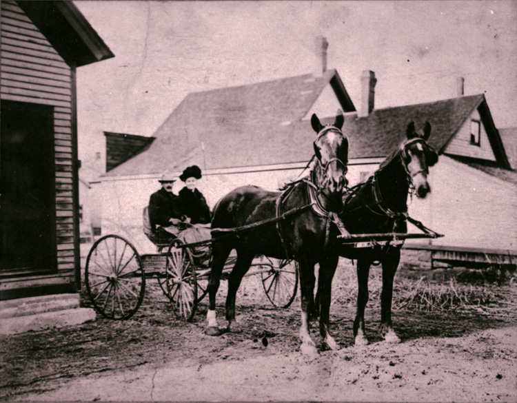 Reproduction d’une photographie de William Franche assis sur une faucheuse tir&eacute;e par des chevaux, appel&eacute;e commun&eacute;ment le moulin &agrave; foin, Wendover (Ontario), 1913.