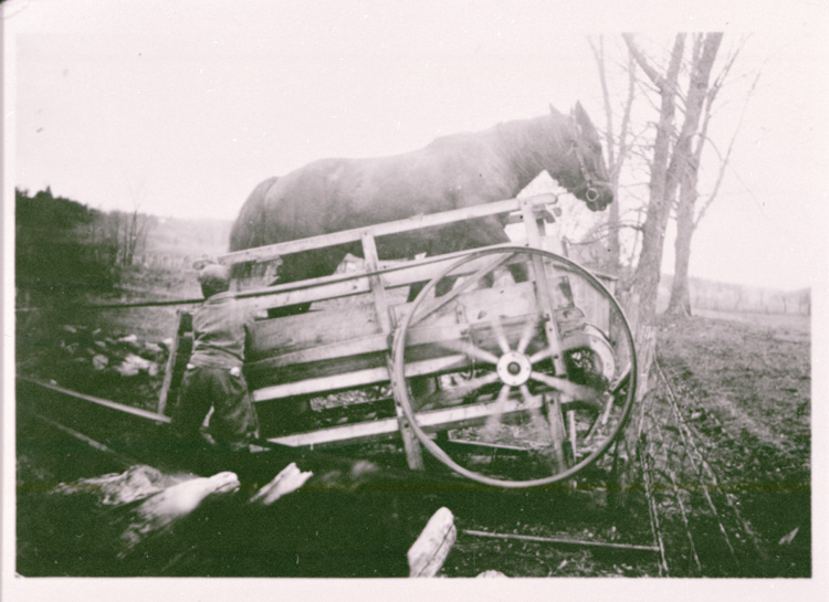 Reproduction d’une photographie d’un scie actionn&eacute;e par un cheval pour couper du bois de chauffage &agrave; Wendover (Ontario), 1938.